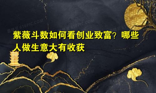 紫薇斗数如何看创业致富?哪些人做生意大有收获