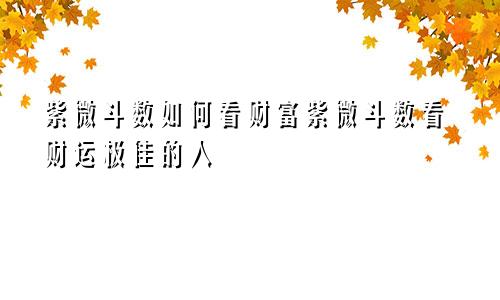 紫微斗数如何看财富紫微斗数看财运极佳的人