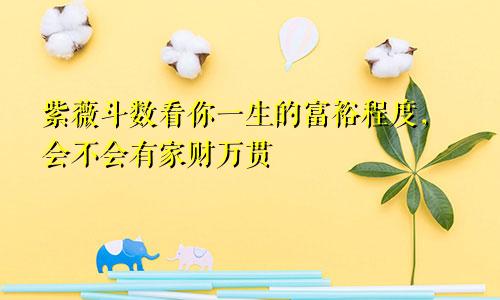 紫薇斗数看你一生的富裕程度，会不会有家财万贯