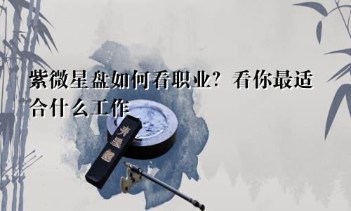 紫微星盘如何看职业?看你最适合什么工作