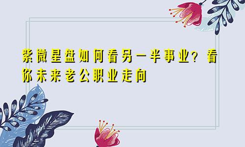 紫微星盘如何看另一半事业?看你未来老公职业走向