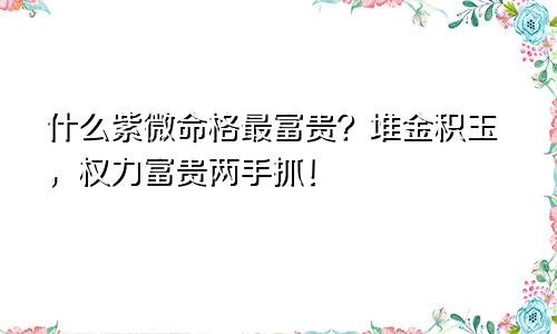 什么紫微命格最富贵?堆金积玉,权力富贵两手抓!