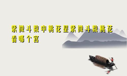 紫微斗数中桃花星紫微斗数桃花看哪个宫