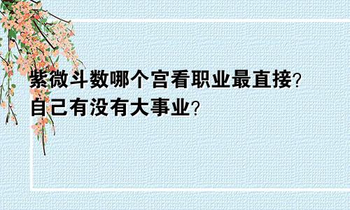 紫微斗数哪个宫看职业最直接？自己有没有大事业？