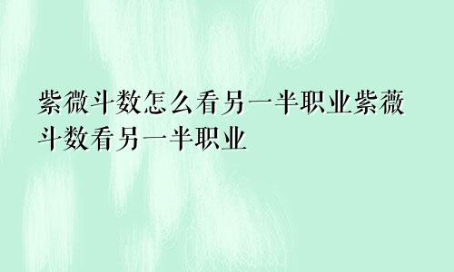 紫微斗数怎么看另一半职业紫薇斗数看另一半职业
