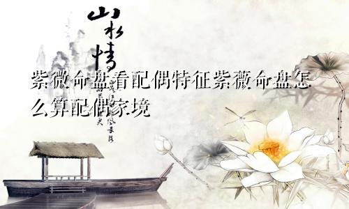 紫微命盘看配偶特征紫薇命盘怎么算配偶家境