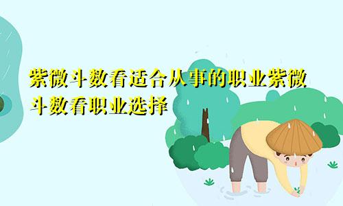 紫微斗数看适合从事的职业紫微斗数看职业选择