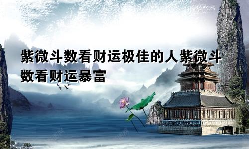 紫微斗数看财运极佳的人紫微斗数看财运暴富