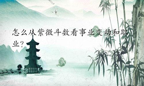 怎么从紫微斗数看事业变动和职业?