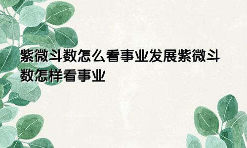 紫微斗数怎么看事业发展紫微斗数怎样看事业