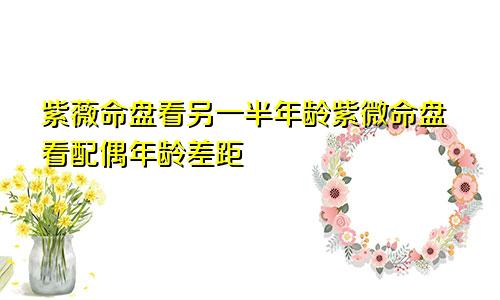 紫薇命盘看另一半年龄紫微命盘看配偶年龄差距