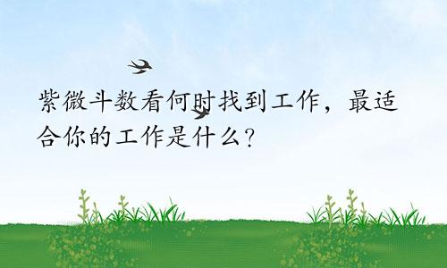 紫微斗数看何时找到工作,最适合你的工作是什么?