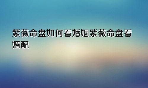 紫薇命盘如何看婚姻紫薇命盘看婚配