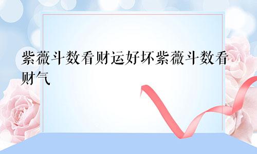 紫薇斗数看财运好坏紫薇斗数看财气