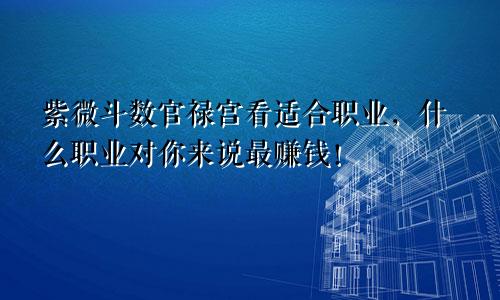 紫微斗数官禄宫看适合职业，什么职业对你来说最赚钱！