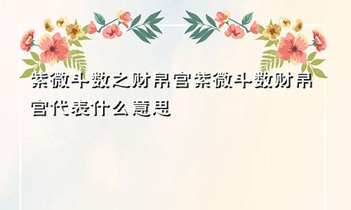紫微斗数之财帛宫紫微斗数财帛宫代表什么意思