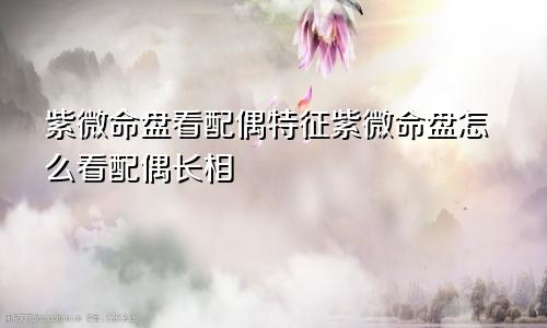 紫微命盘看配偶特征紫微命盘怎么看配偶长相