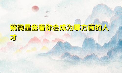 紫微星盘看你会成为哪方面的人才