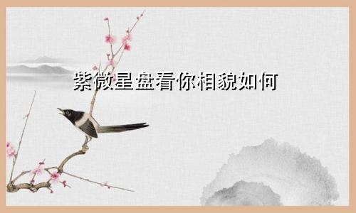 紫微星盘看你相貌如何