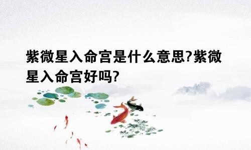 紫微星入命宫是什么意思?紫微星入命宫好吗?