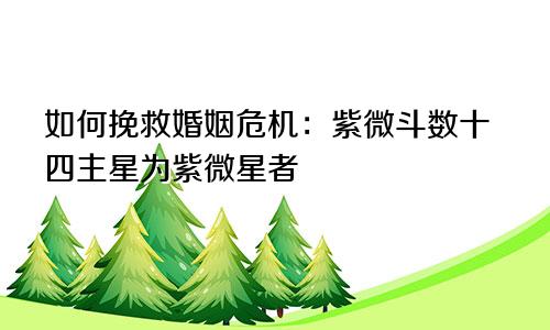 如何挽救婚姻危机：紫微斗数十四主星为紫微星者