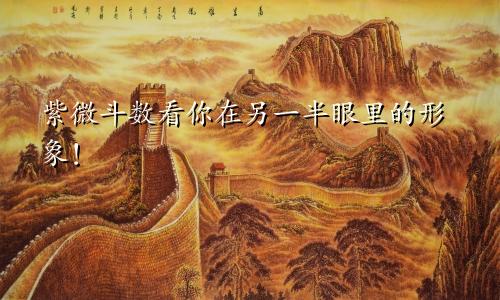 紫微斗数看你在另一半眼里的形象！