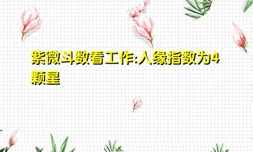 紫微斗数看工作:人缘指数为4颗星