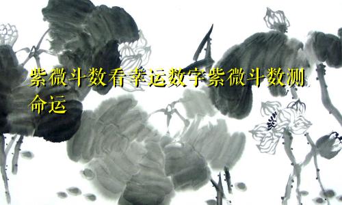 紫微斗数看幸运数字紫微斗数测命运