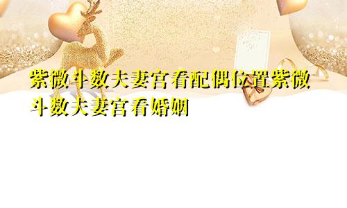 紫微斗数夫妻宫看配偶位置紫微斗数夫妻宫看婚姻