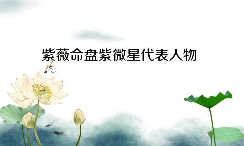 紫薇命盘紫微星代表人物