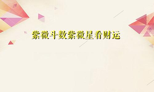 紫微斗数紫微星看财运