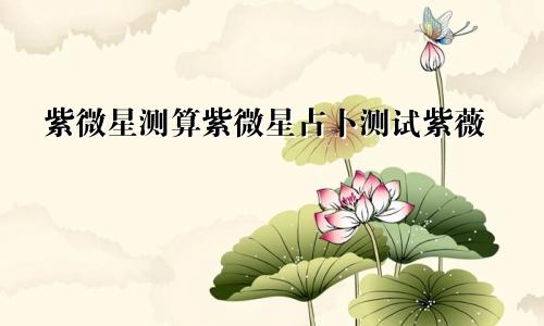 紫微星测算紫微星占卜测试紫薇