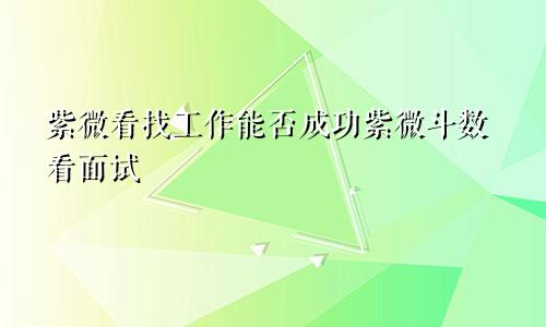 紫微看找工作能否成功紫微斗数看面试