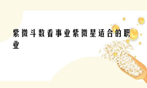 紫微斗数看事业紫微星适合的职业