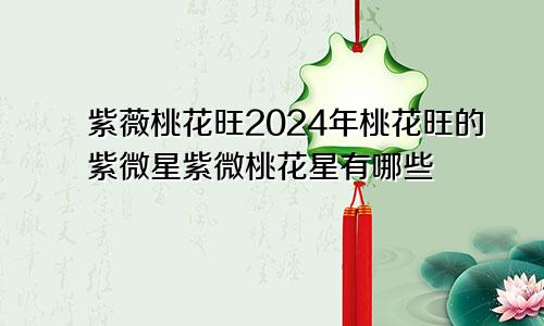 紫薇桃花旺2024年桃花旺的紫微星紫微桃花星有哪些
