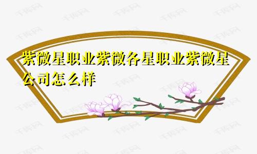 紫微星职业紫微各星职业紫微星公司怎么样