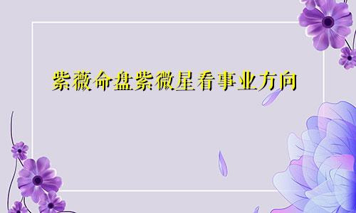 紫薇命盘紫微星看事业方向