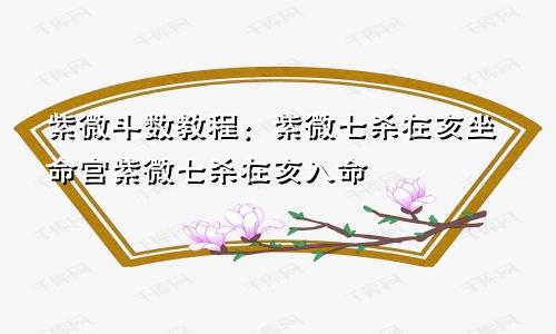 紫微斗数教程：紫微七杀在亥坐命宫紫微七杀在亥入命