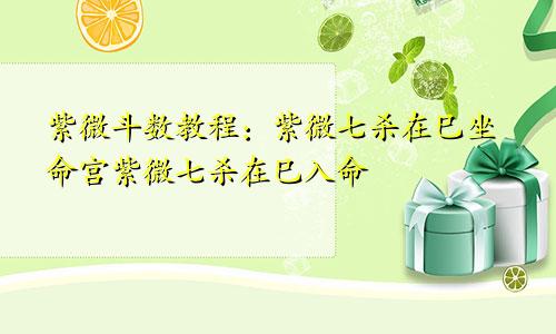 紫微斗数教程：紫微七杀在巳坐命宫紫微七杀在巳入命