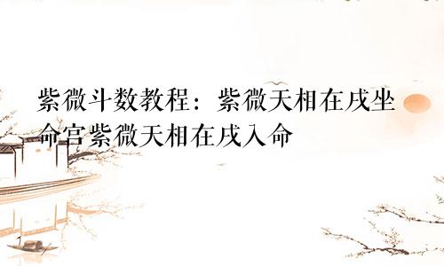 紫微斗数教程：紫微天相在戌坐命宫紫微天相在戌入命