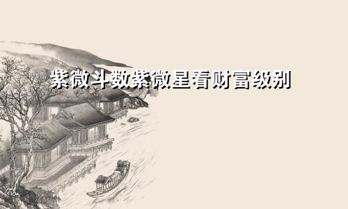 紫微斗数紫微星看财富级别