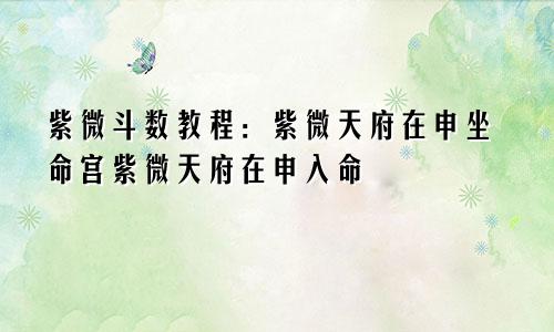 紫微斗数教程:紫微天府在申坐命宫紫微天府在申入命