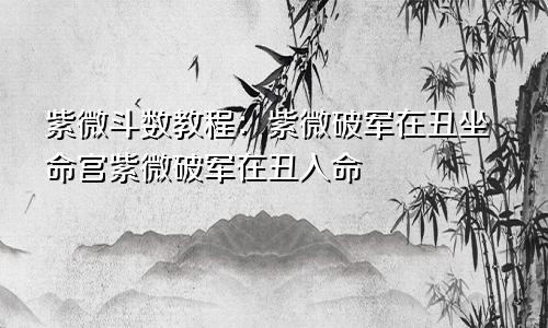 紫微斗数教程：紫微破军在丑坐命宫紫微破军在丑入命