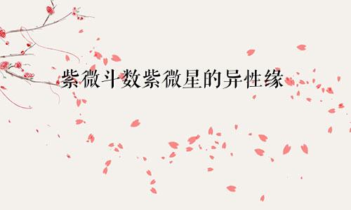 紫微斗数紫微星的异性缘