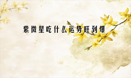 紫微星吃什么运势旺到爆