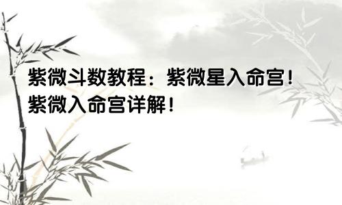 紫微斗数教程：紫微星入命宫！紫微入命宫详解！