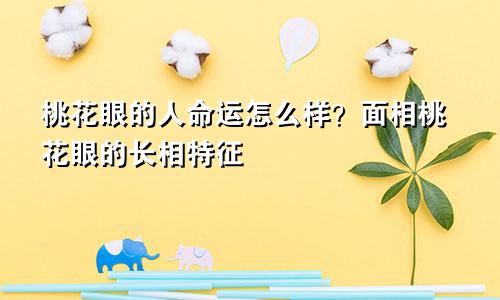 桃花眼的人命运怎么样？面相桃花眼的长相特征