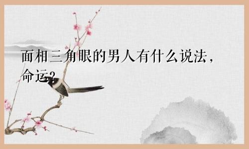 面相三角眼的男人有什么说法，命运？