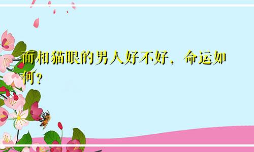 面相猫眼的男人好不好，命运如何？