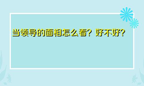 当领导的面相怎么看？好不好？